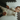 Baby: The Ultimate Set